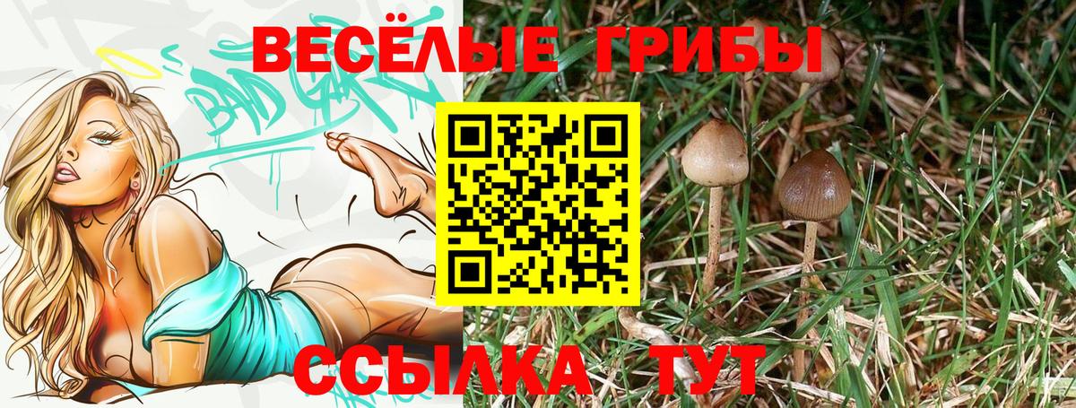 APVP Похвистнево