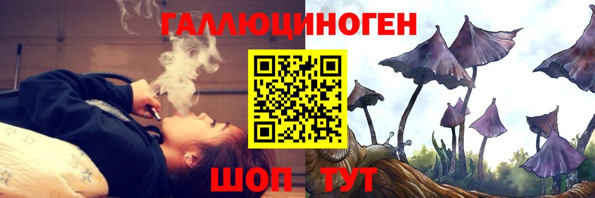Похвистнево  Галлюциногенные грибы Cubensis  как найти закладки  Вход с VPN 